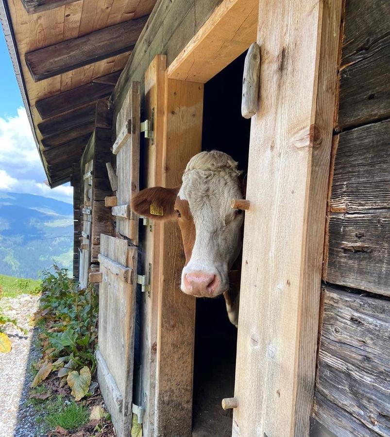 Luxury Chalet Mauthner Alm Kötschach-Mauthen Kültér fotó